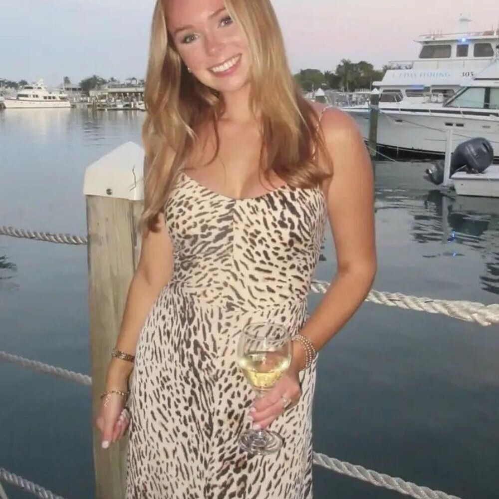 Joie Janeil Dress